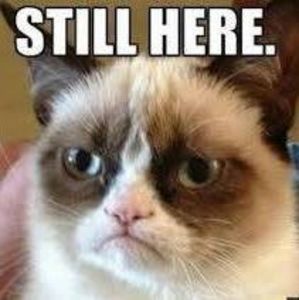 Meet your Posher, Beverly